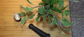 Garden Herbs for cocktails Sage mint rosemary