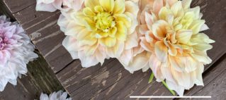 2020 Bouquet Subscriptions Available