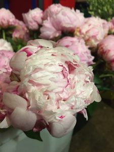 Bucket O'Flowers DIY Peonies