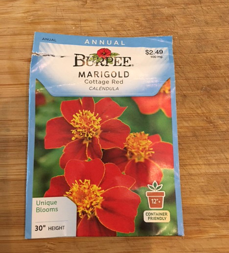 Cottage Red Burpee Marigolds