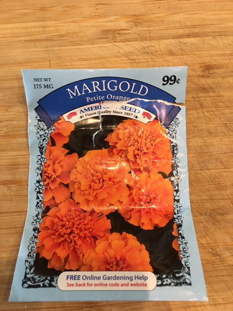 Marigold seeds dollar store