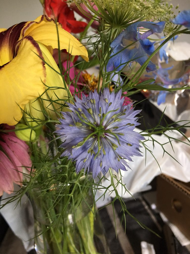 Blue Nigella in Arrangement