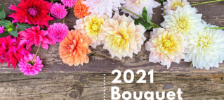 The Flower Kitten Bouquet Subscription – 2021