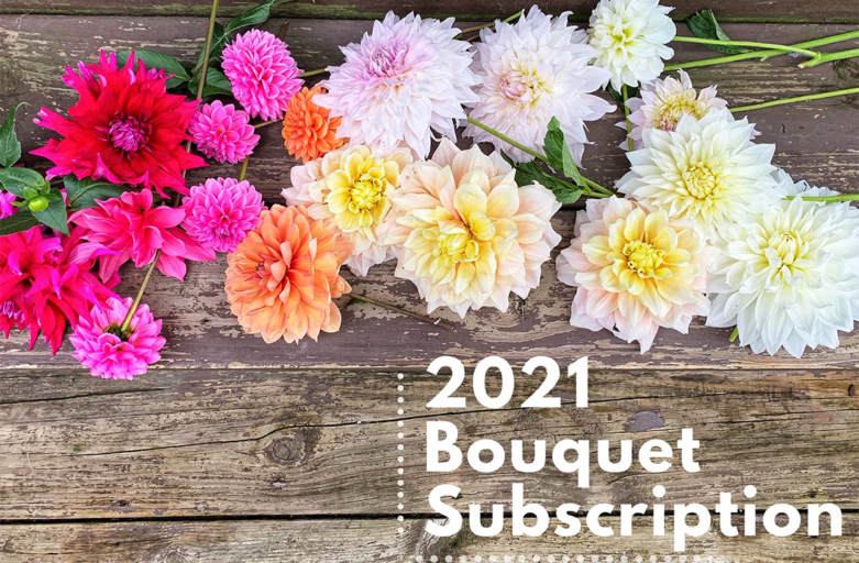 The Flower Kitten Bouquet Subscription – 2021