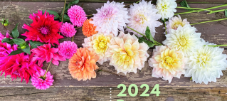 2024 bouquet subscription