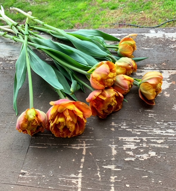 Tulips bouquet Mother's Day