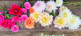 Dahlia's Bouquet rainbow